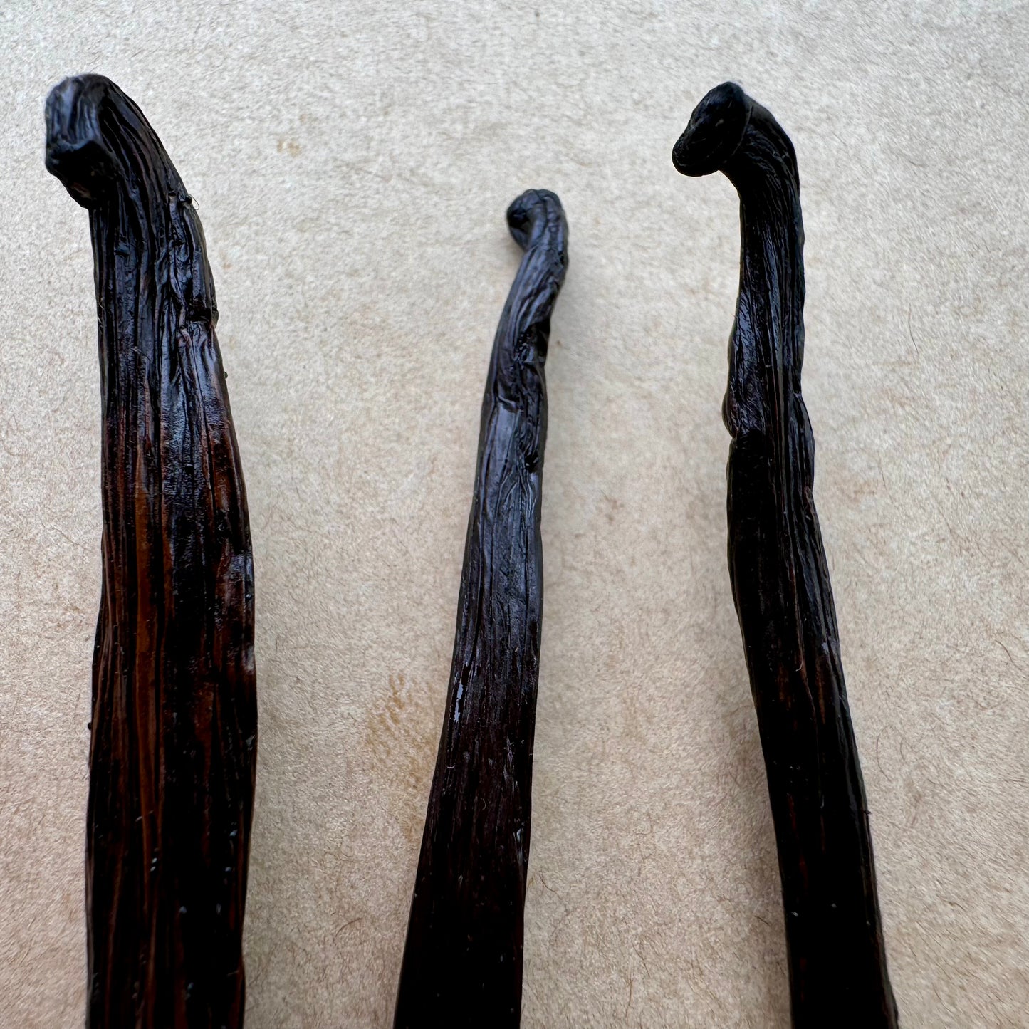 INDONESIAN Vanilla Pods (Beans) - Grade A - FREE SHIPPING