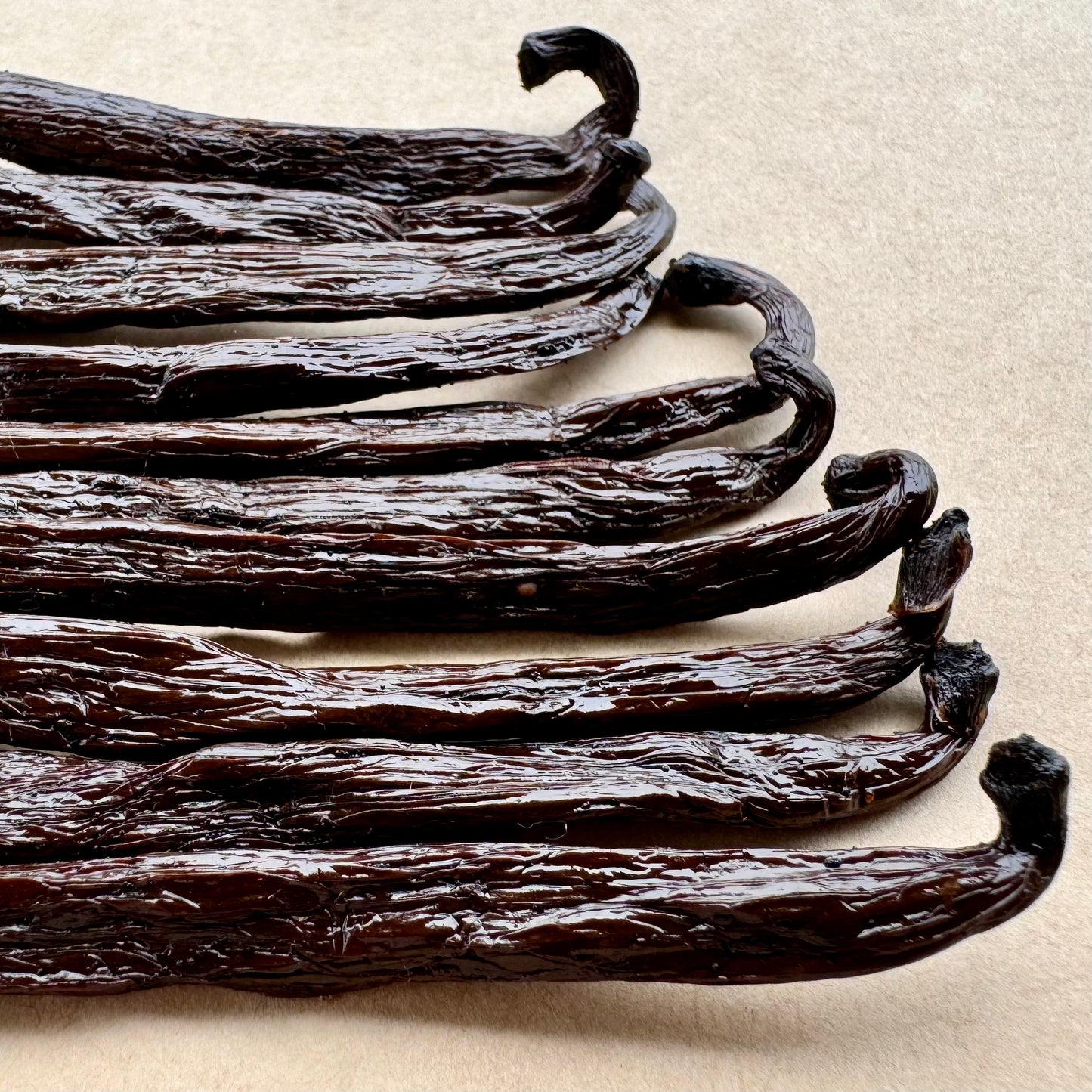 10 Madagascar Bourbon Vanilla Beans - Sunshine Vanilla