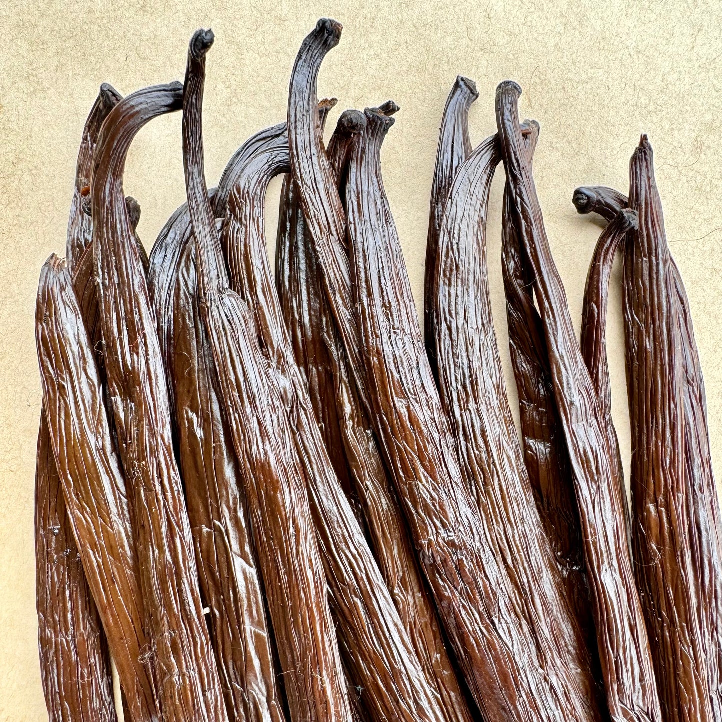 100g Ugandan Vanilla Beans - Sunshine Vanilla
