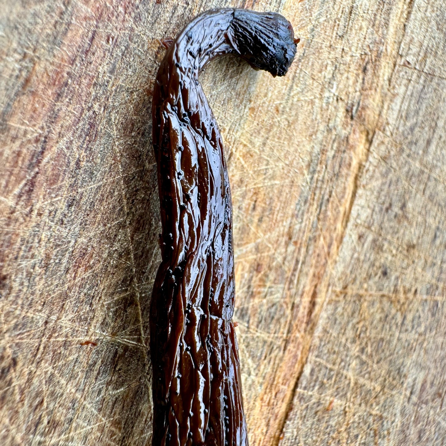 Madagascar Bourbon Vanilla Pod - Sunshine Vanilla
