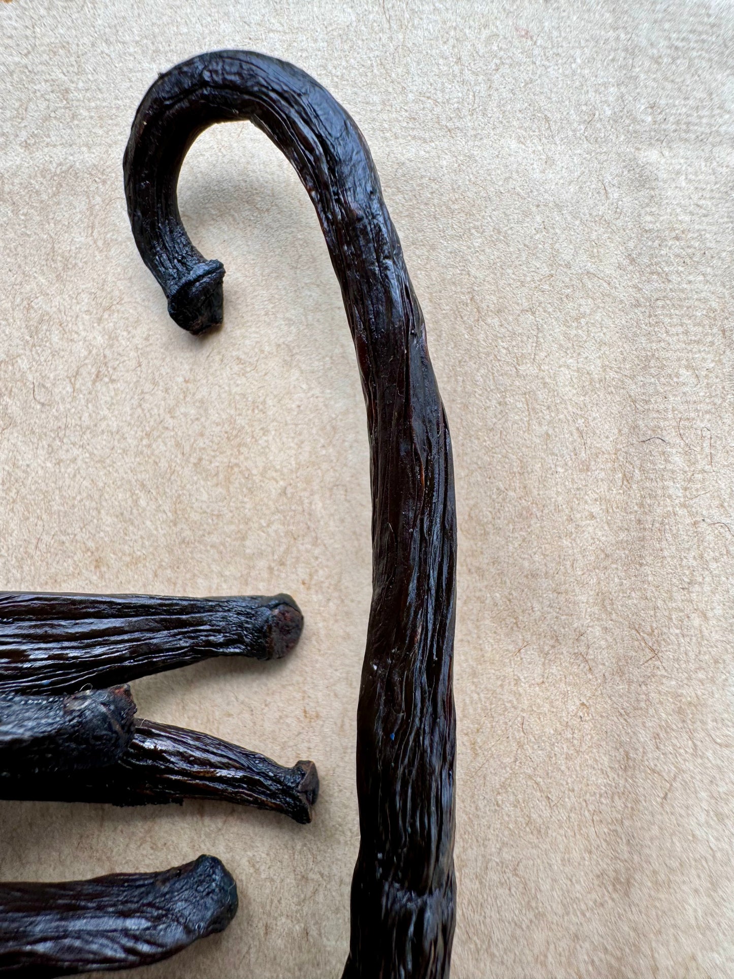 Indonesian Vanilla Bean