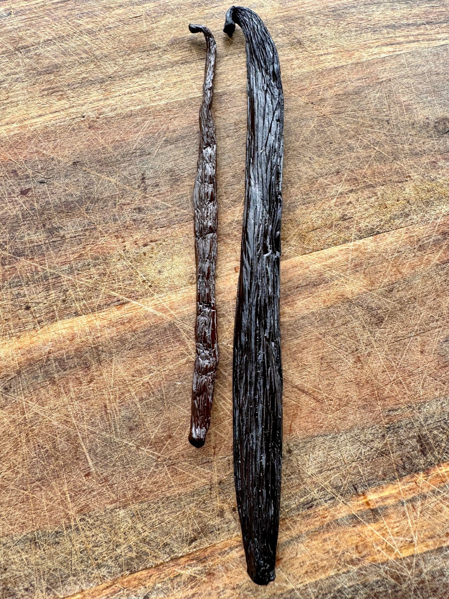 Madagascar Vanilla Pompona - 10 x MEGA VANILLA BEANS (>100 grams)