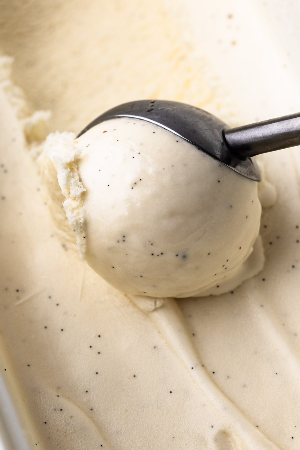 Madagascar Vanilla Bean Seeds (Dry)